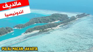 مالديف إندونيسيا- Pulau Macan Jakarta