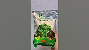 Chế phẩm sinh học nấm trichoderma bacillus Đức Bình chuyên ủ phân hữu cơ, trộn đất trồng rau