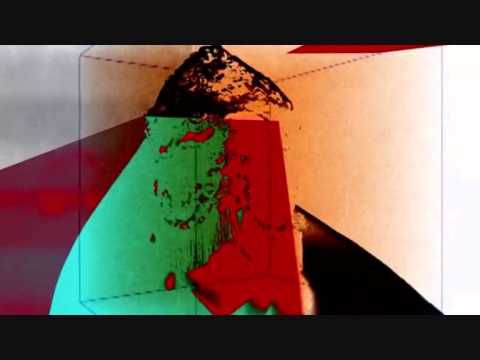 Omega Dub Experience -  Snake Train (2015)