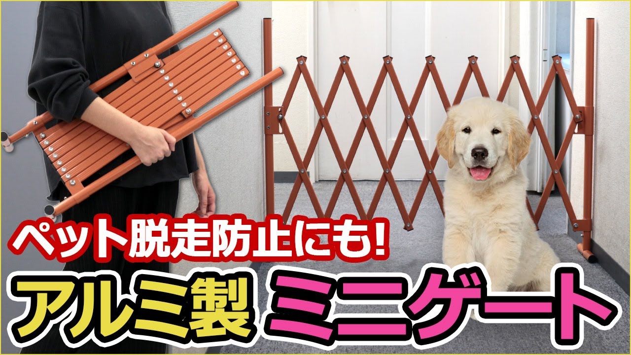 ペットフェンス yvpubthum13685813-