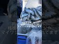 16時頃の田ノ浦漁港　fishingmax 和歌山インター店