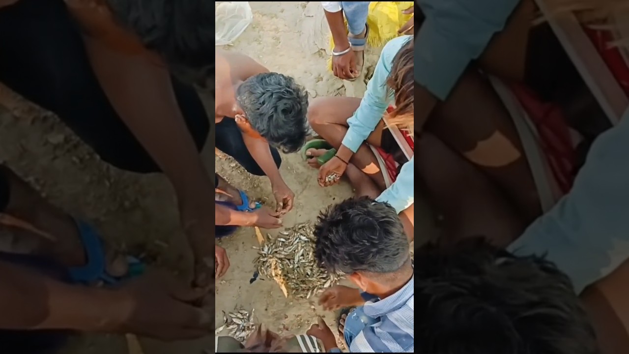 YouTube Video Comedy// 