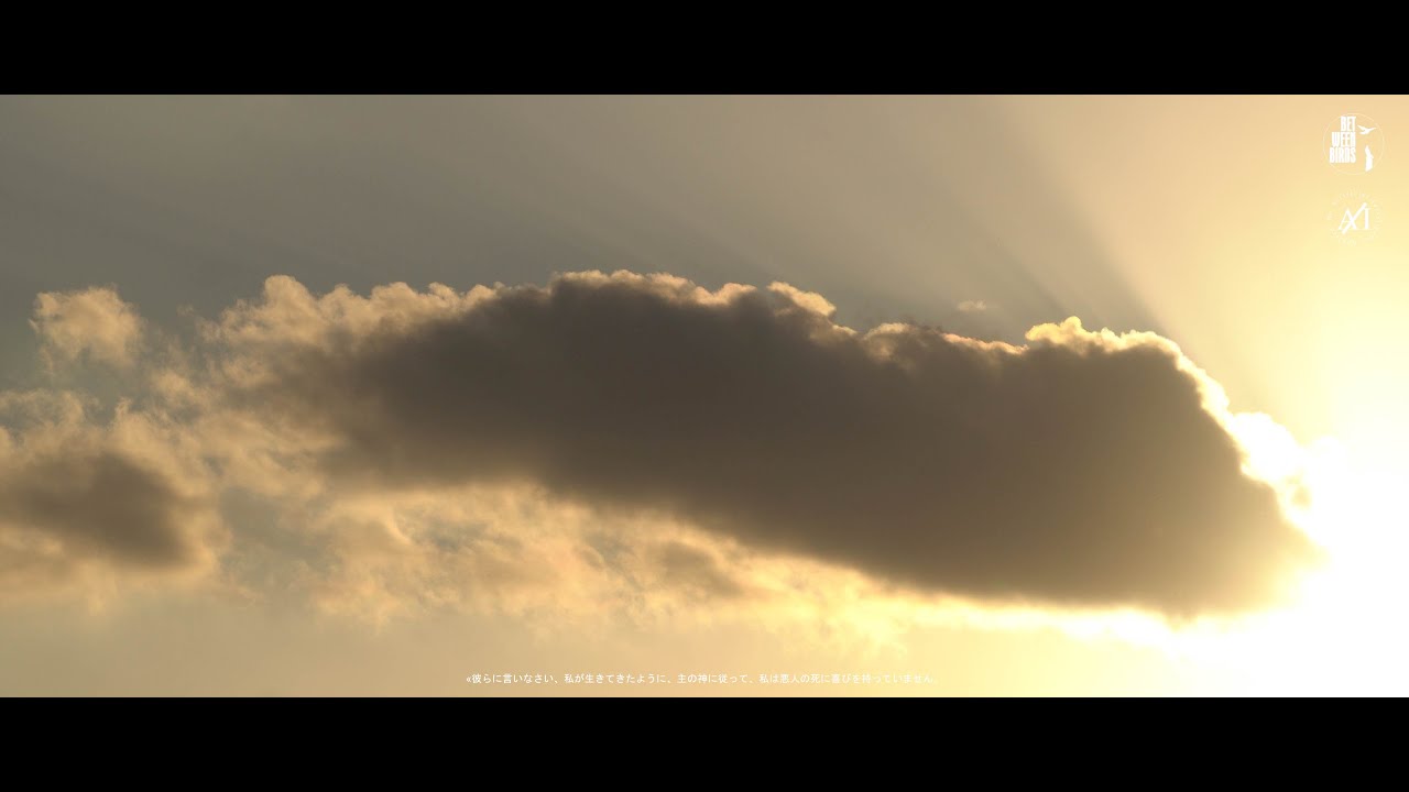 Moment of day | June 2, 2024 - France Sky View: Night, Day, Clouds & Birds