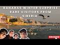 Banaras Series - Migratory Birds in Varanasi | A Winter Symphony on the Ganges | Part 4