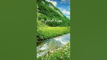 القرآن الكريم #المصحف #اكسبلور #تلاوات_رائعة #تيك_توك #لايك