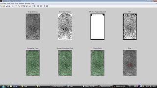 Singular Point Core Detection in Fingerprint Image