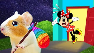 Hamster, I Need You! Please Come Back | Life Of Pets HamHam