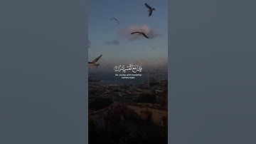 تلاوه خاشعه عكاشة كميني