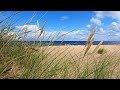 "Ebb &amp; Flow” – Generative Ambient for Meditation &amp; Chill out [Eurorack Modular &amp; Moog Subharmonicon]