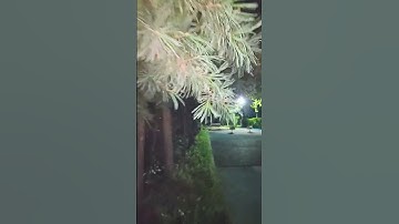 Thumbnail of 창부타령 / 송소희