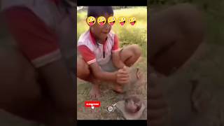 শেষ পর্যন্ত দেখুন! 😱|Funny Fail Compilation 2026#shorts#funny #youtubeshorts#fails#funnycandy#memes