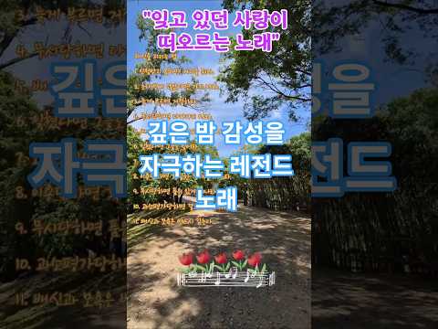 #립스틱짙게바르고 #바람처럼 #감성발라드 #발라드추천 #노래추천 #음악쇼츠 #유튜브쇼츠 #감성음악 #새벽감성 #힐링음악