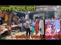          live darshan rajasthan paplaaj mata mandir