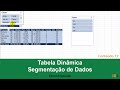 Tabela Dinâmica - Segmentação de Dados