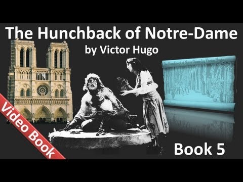 Book 05 - The Hunchback of Notre Dame Audiobook by...