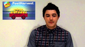 Hidden Brains Review by Joseph Blogna for iPad & iPhone Game Development project