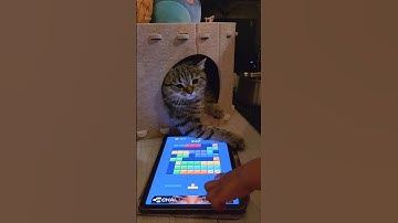 Come play with me!#blockblast #hungrystudio #blockblastlove