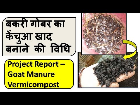 How To Make Goat Manure Vermicompost(In Hindi)बकरी गोबर का केंचुआ खाद