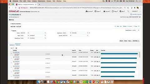 Oracle Real User Experience Insight (RUEI) Demo
