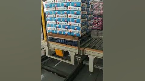 High Level Palletizer+ Strench Hooder--Durzerd