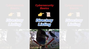 Directory Listing Explained in Under a Minute - Cybersecurity Basics