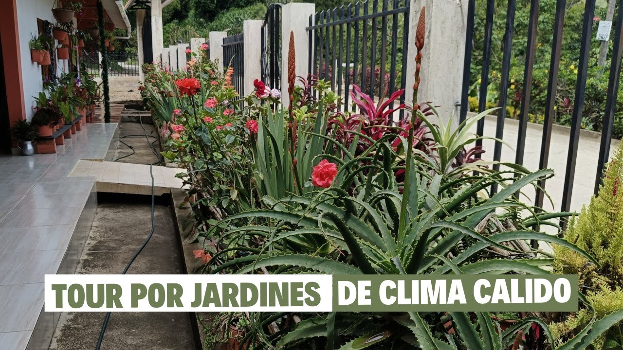 Tour por el jardín de Doña Maria + jardines de climas cálidos | Jardín Diaz