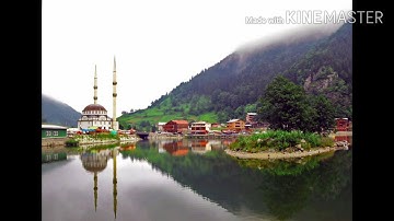 تلاوة سورة العلق والقدر والبينة والزلزلة والعاديات