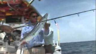 Add an esca to your gear and catch more fish!