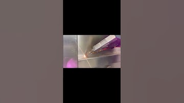 Precision and Automation Redefined: Eruis Compact Slaughter Line