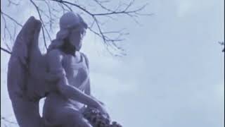 PRIMITIVE KNOT - SKELTER HELTER (extract)