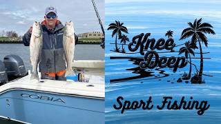 Knee Deep Sport Fishing - Cobia Boats 28 CC