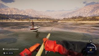 COTW: The Angler_Diamont-Wels Catfish