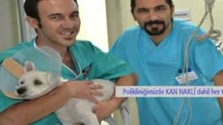 atakent veteriner1 by Dr. Öğr. Üyesi Levent Bayraktar 111 views 9 years ago 1 minute, 1 second