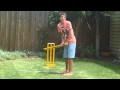 Backyard Cricket 2011