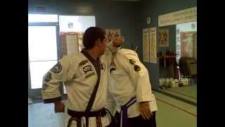 Pinan Sandan 2nd Bunkai Forearm.AVI