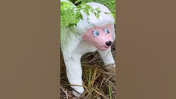 Enchanted Forest  #shorts