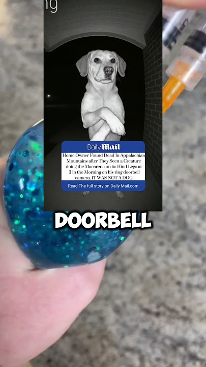 If you hear a fart run. #shorts #fyp