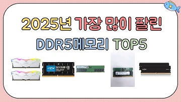 2025년 인기 DDR5메모리 추천 TOP5