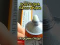 Всего Одна КАПЛЯ в Крем и Морщины Уйдут! Рецепт skin care #shorts