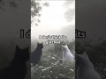 Is it true?#viral#glitchshorts#famous#glitches#fake#real#isittrue