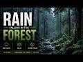 Rain Falling in the Forest 🌧️ Deep Sleep Sounds for Relaxation, Focus & Stress Relief | 10 Hours