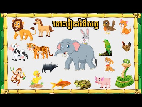 Animals in Khmer Language ឈ្មោះសត្វភាជាភាសាខ្មែរ (ឈ្មោះសត្វដែលអ្នកគួរតែស្គាល់)