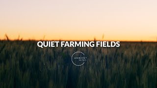 Quiet Fields With Crickets Chirping | Idaho Farmland