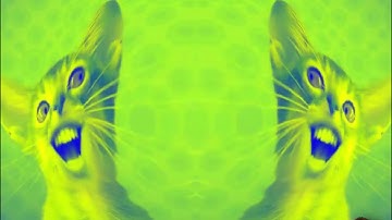 Preview 2 Numa Cat Effects Effects in El