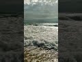30 сентября 2024 г.