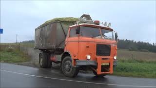 Siláže 2019-Claas Jaguar 840 Case MX240 2x Š-706 Trambus a Zetor Crystal 16145