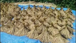 Lagu Daerah Mamasa //Kondosapata volume pertama