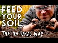 3 Ways to Build Soil Health💛 🧡 🤎