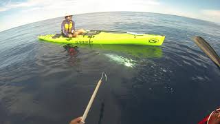 Kayak Fishing For Spanish Mackerel, On The Ningaloo Reef Exmouth