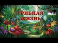 ГРИБЫ И ГРИБНАЯ ЖИЗНЬ